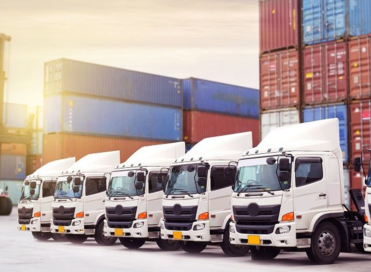 Modern fleet of trucks